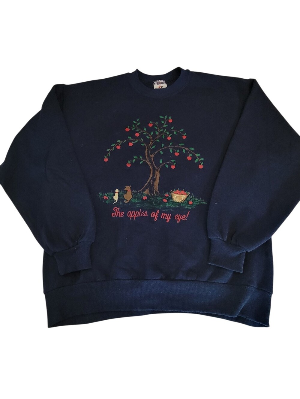 Vintage 90s Graphic Print Crewneck The Apples Of My Eye Size L Grandmacore Teach